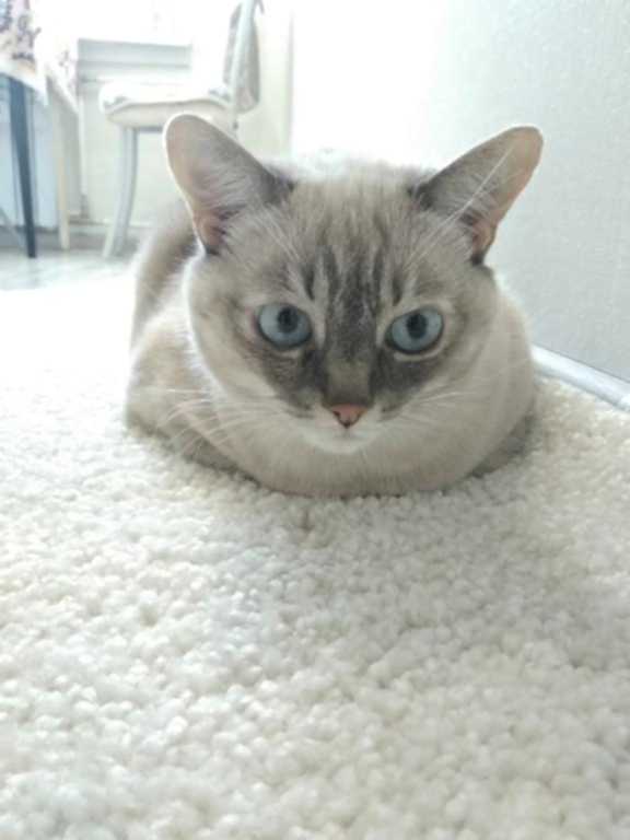 удаление запаха