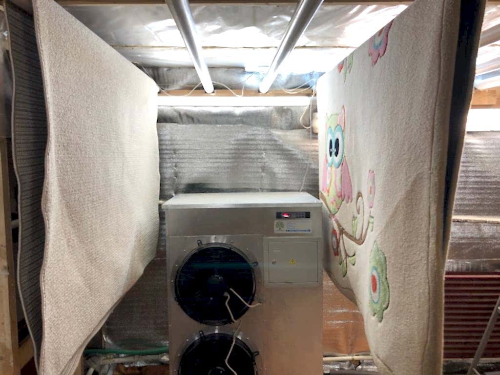 стирка ковров с сушкой