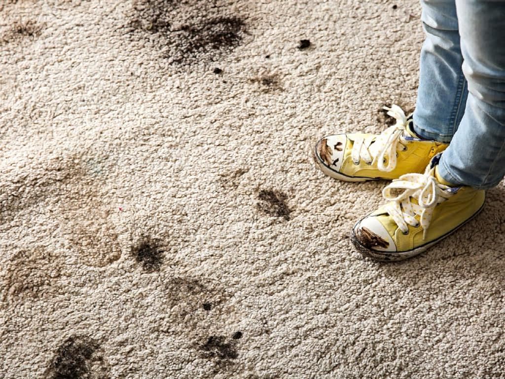 стирка химчистка чистка ковров