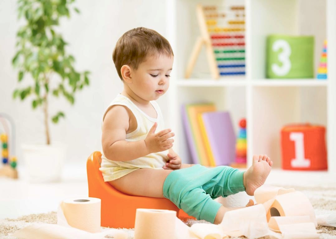 стирка химчистка чистка ковров